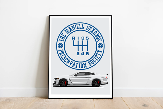 TMGPS GT350 MUSTANG S550 Print