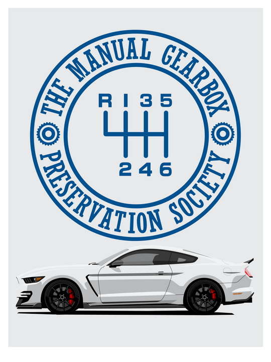 TMGPS GT350 MUSTANG S550 Print